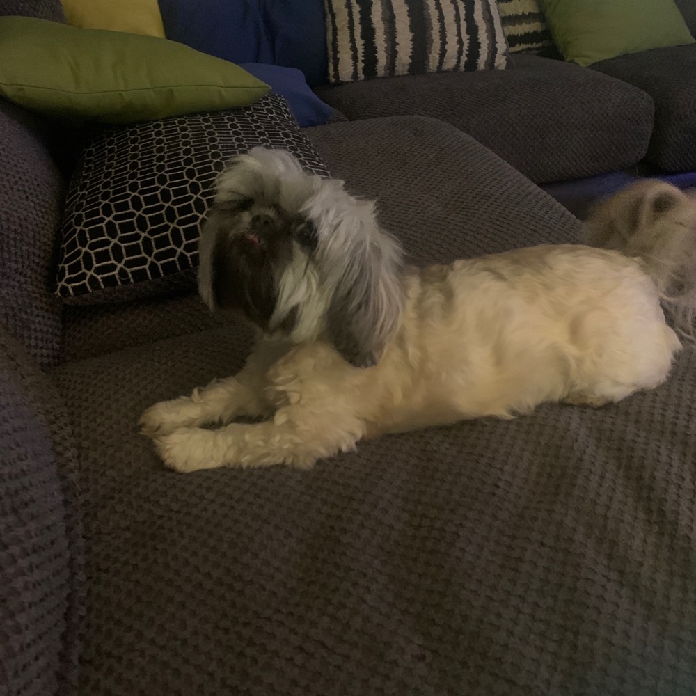 My daughter and i are doing a closet clean out!!